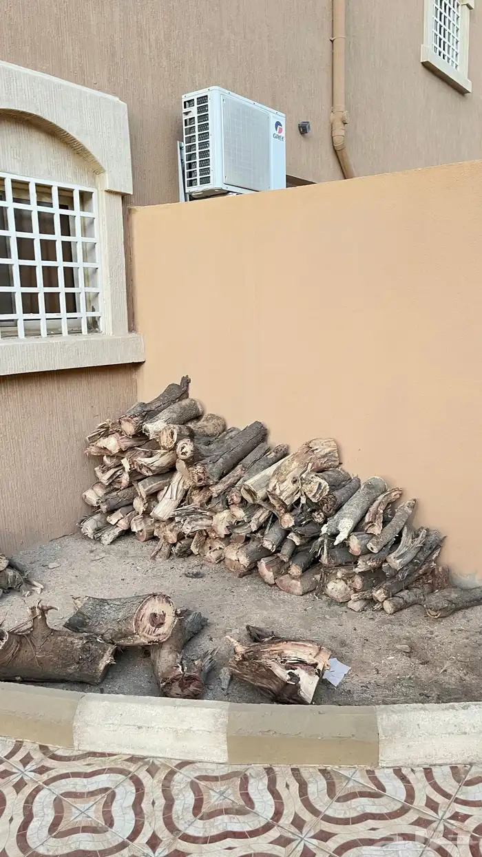 حطب متسورد طلح ويوجد كميه ليس مستورده 0