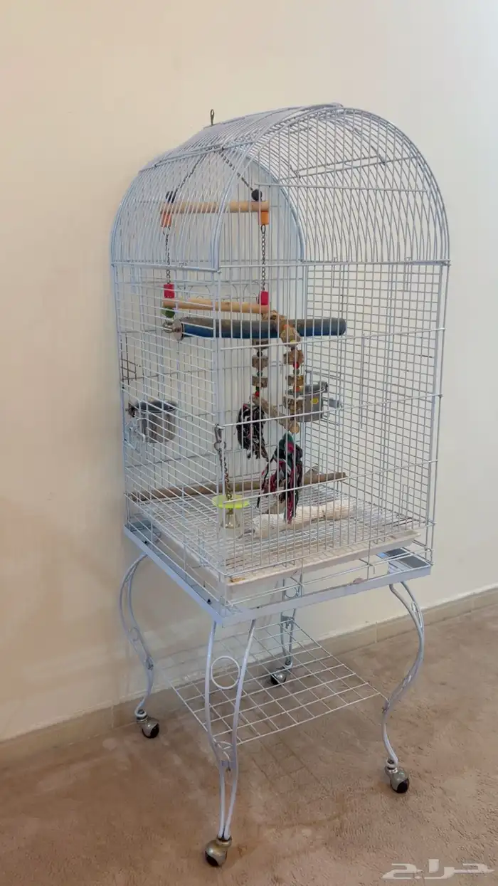 قفص ببغاء حجم كبير 2