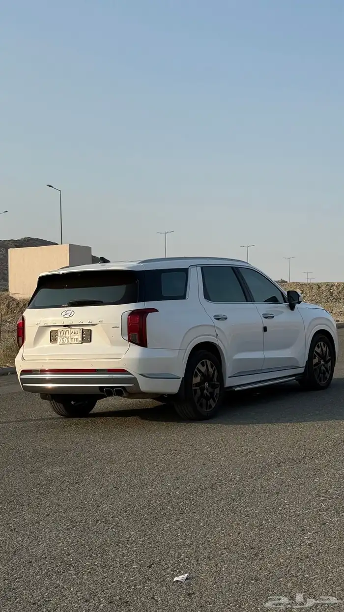 هواندي بالسيد كالجرافي 2023 3