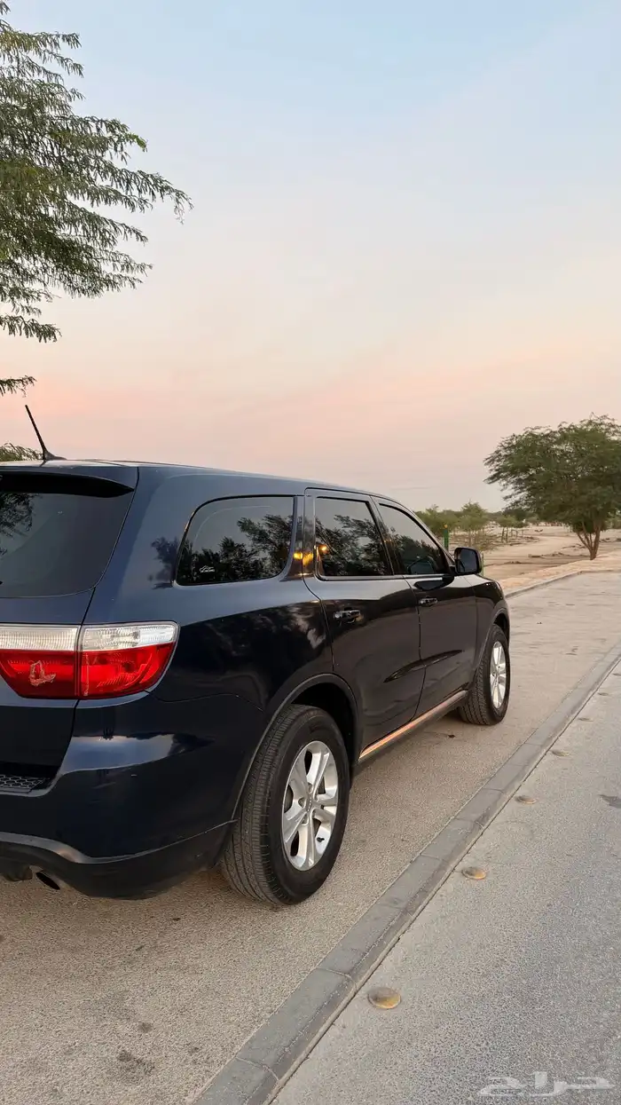 دورانجو 2013 17