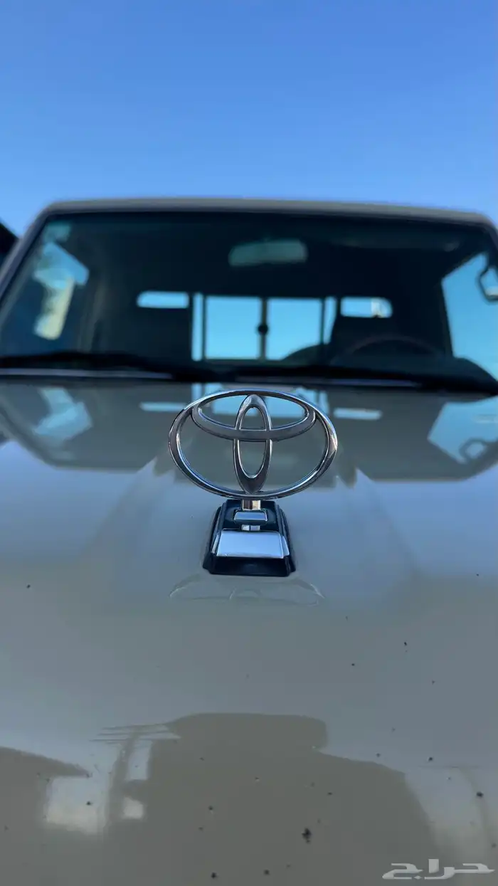 للبيع شاص مخزن 43