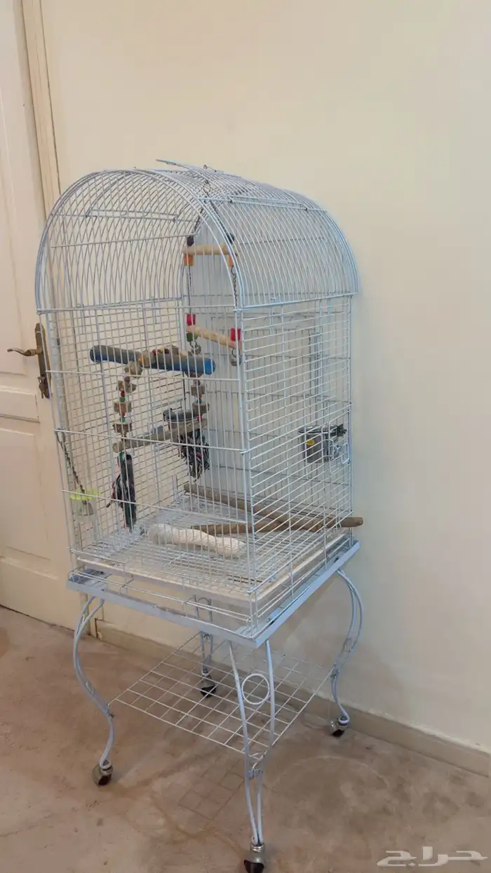 قفص ببغاء حجم كبير 1