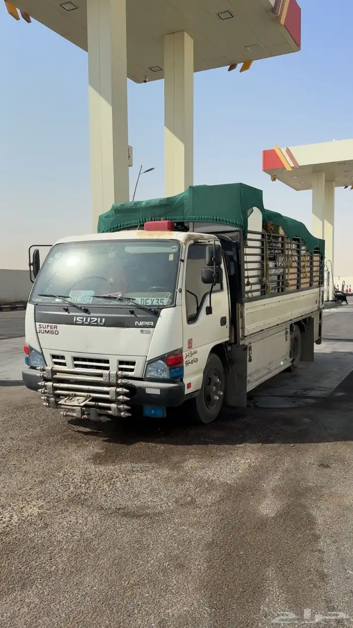 دينا متواجد في الدمام 0