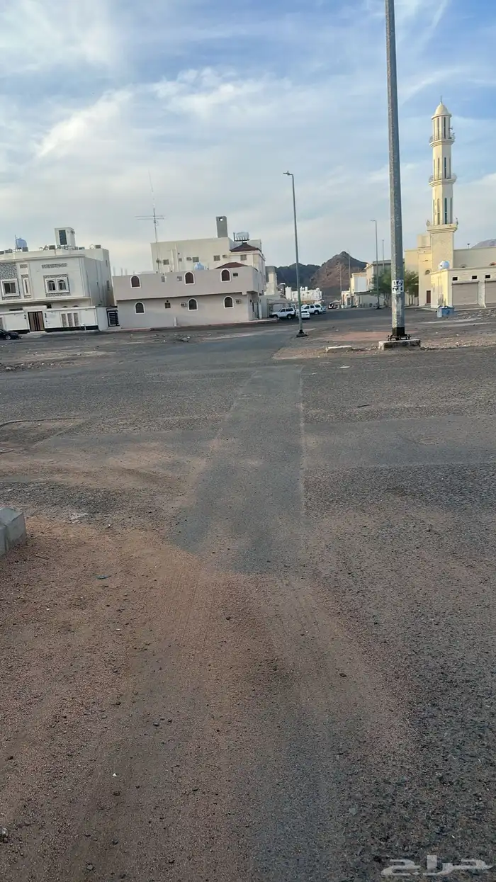 معزا عرضيات 0