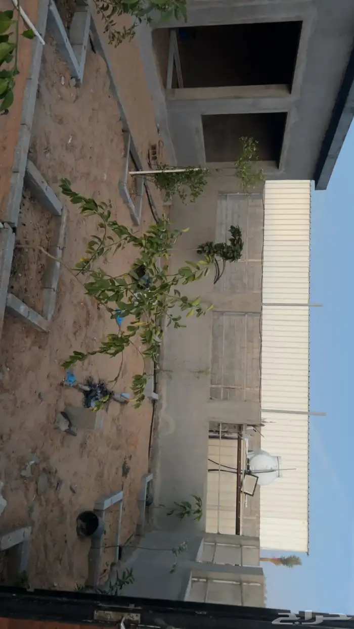 اسطبل جاهز 3