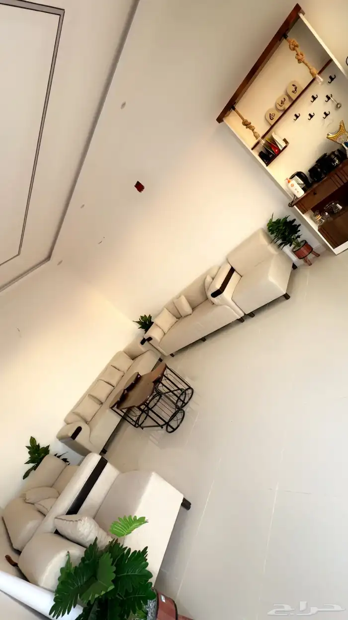 اسطبل للايجار اليومي   تدريب   ايواء ( ) 5