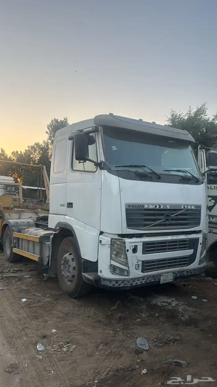 فلفو الزاهد 0