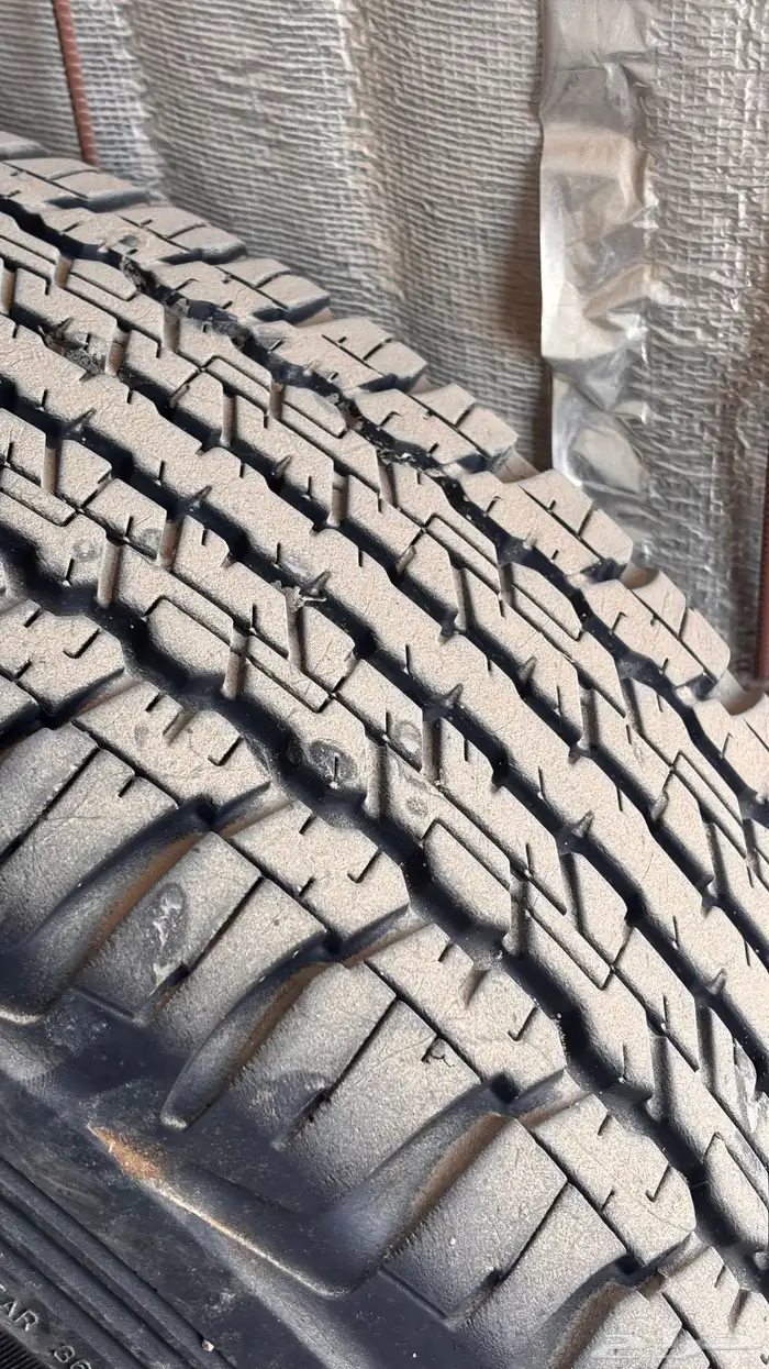 جنوط جكسار 2016 8