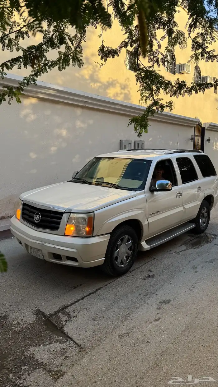 اسكاليد 2005 13