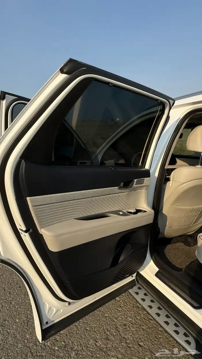 هواندي بالسيد كالجرافي 2023 19