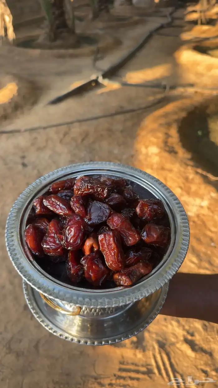 متوفر تمر ضميد شقراء - خلاص - سكرية حمراء - ونانه 2