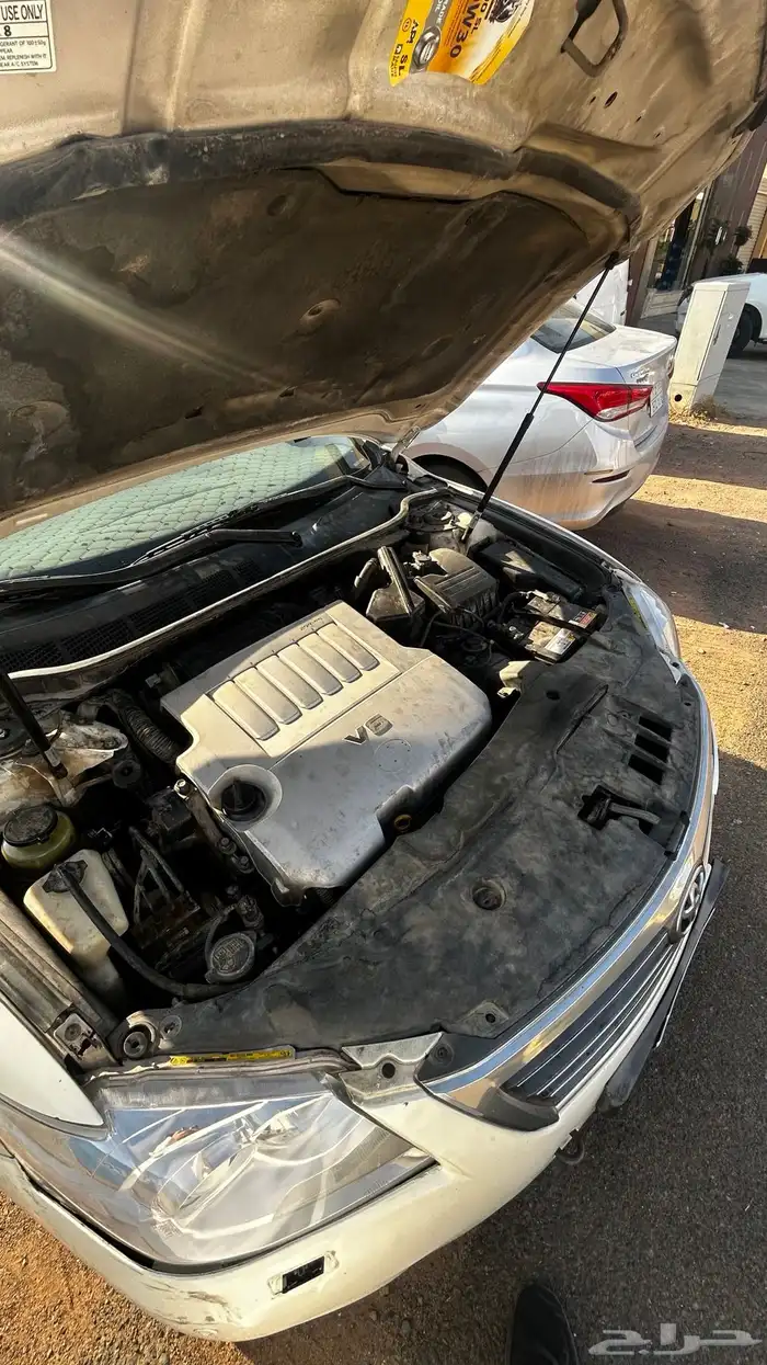 اوريون 2010 19