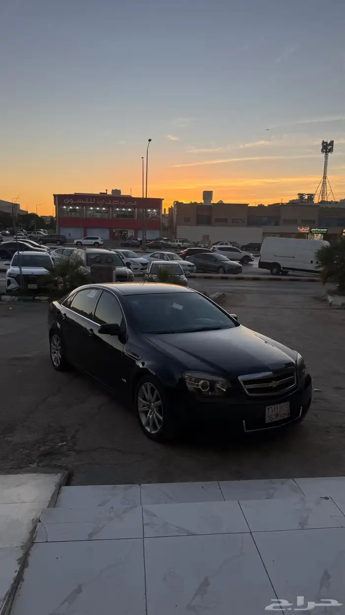 كابرس 14 مرتب (للبيع او البدل ) 3