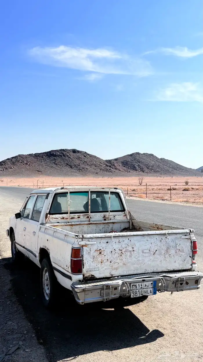 ددسن 84 مسقطة 0