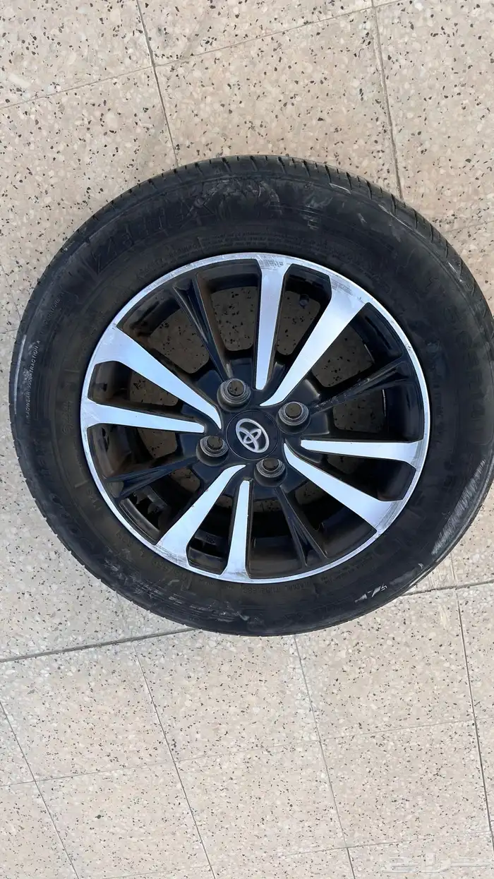 جنوط يارس 2021 حقت الوكالة 2