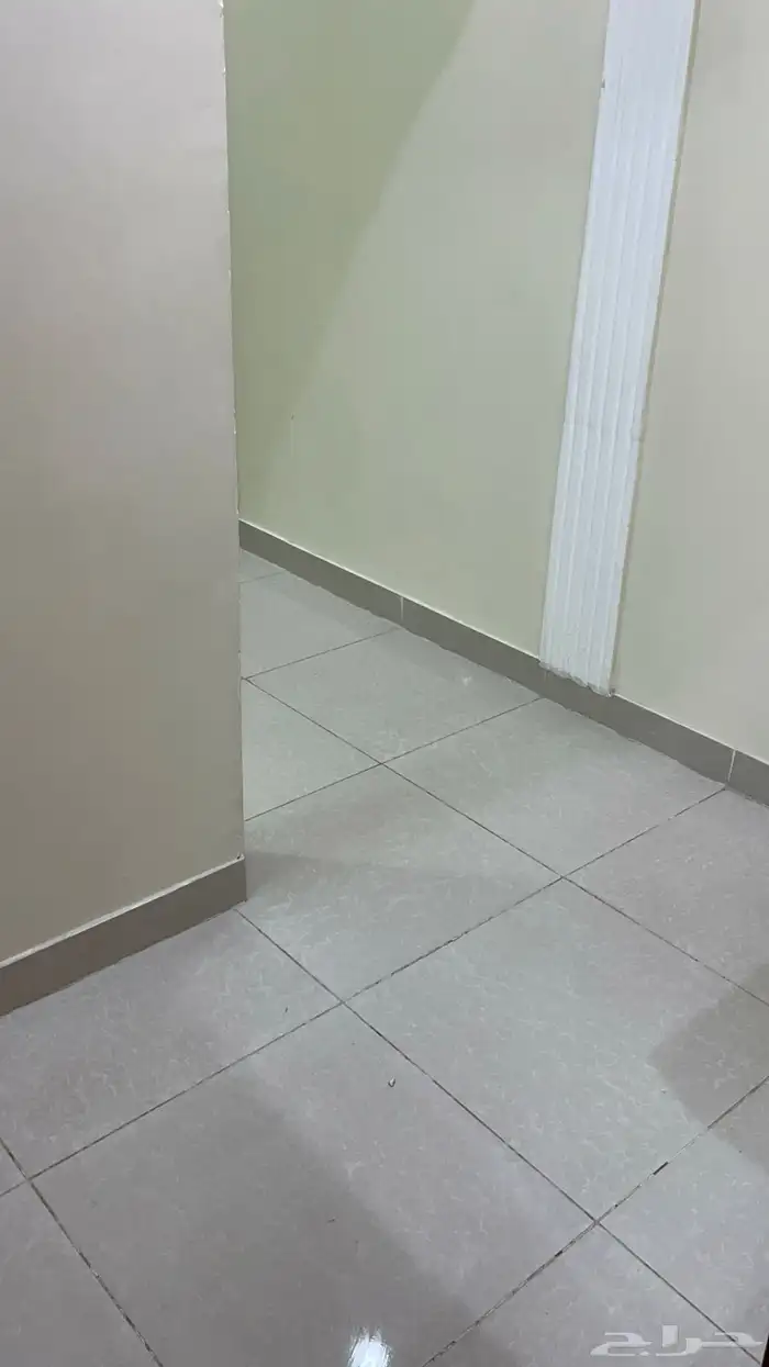 مطلوب شقة للإيجار 0