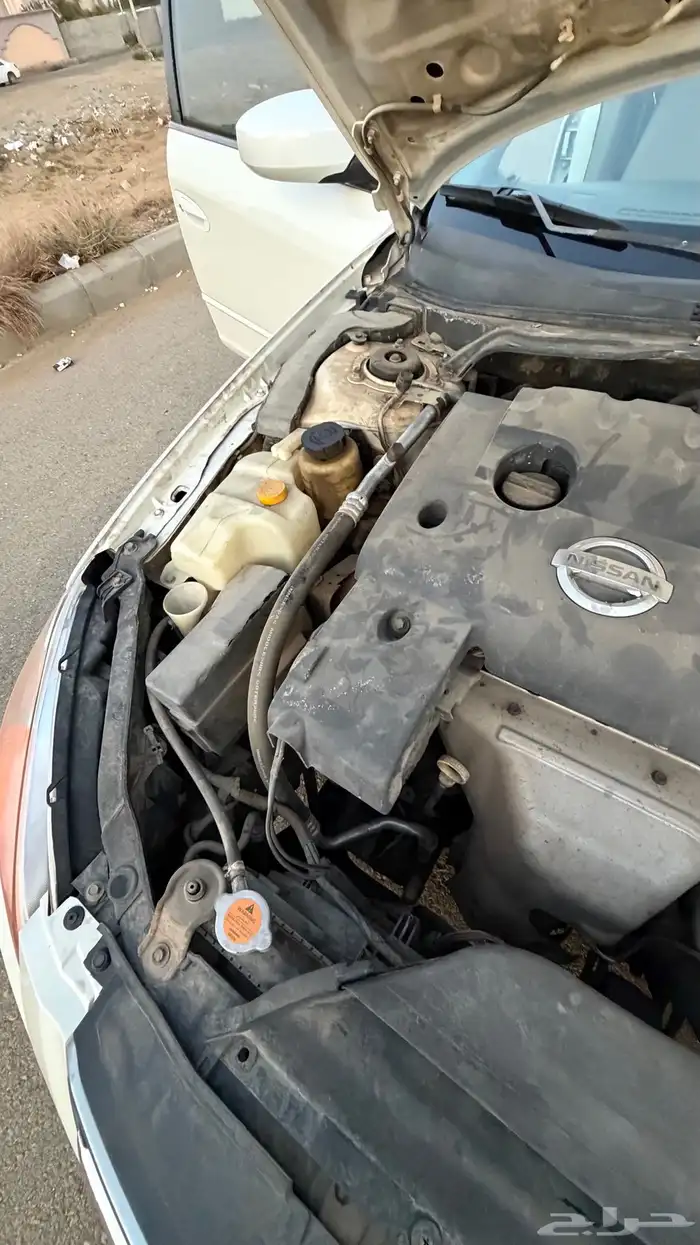 التيما 2007 10