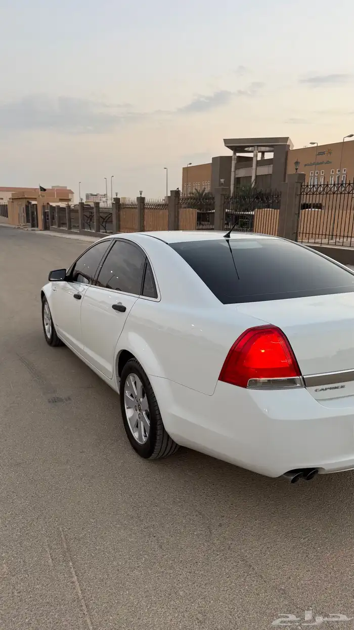 كابرس 2012 LS 19