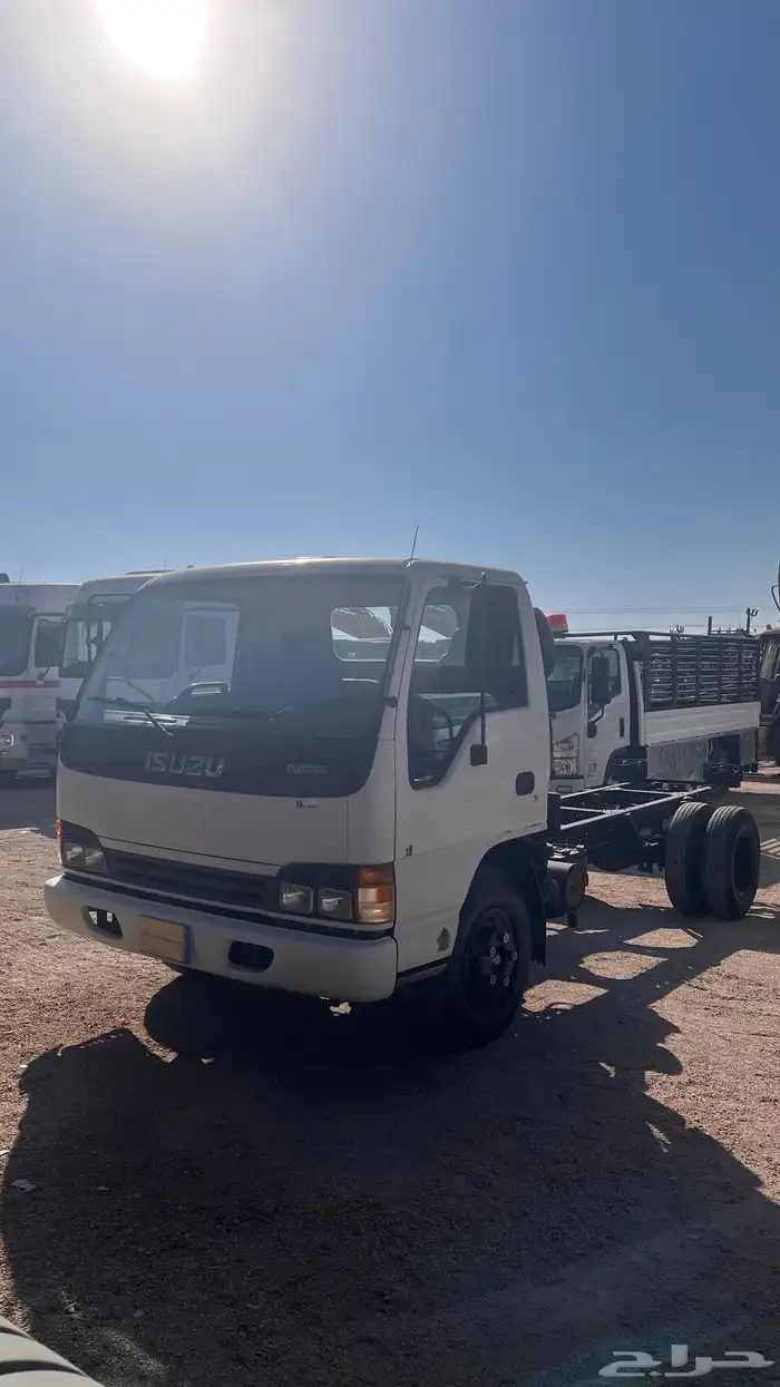 دينا ايسوزو 2004 مخزن 7