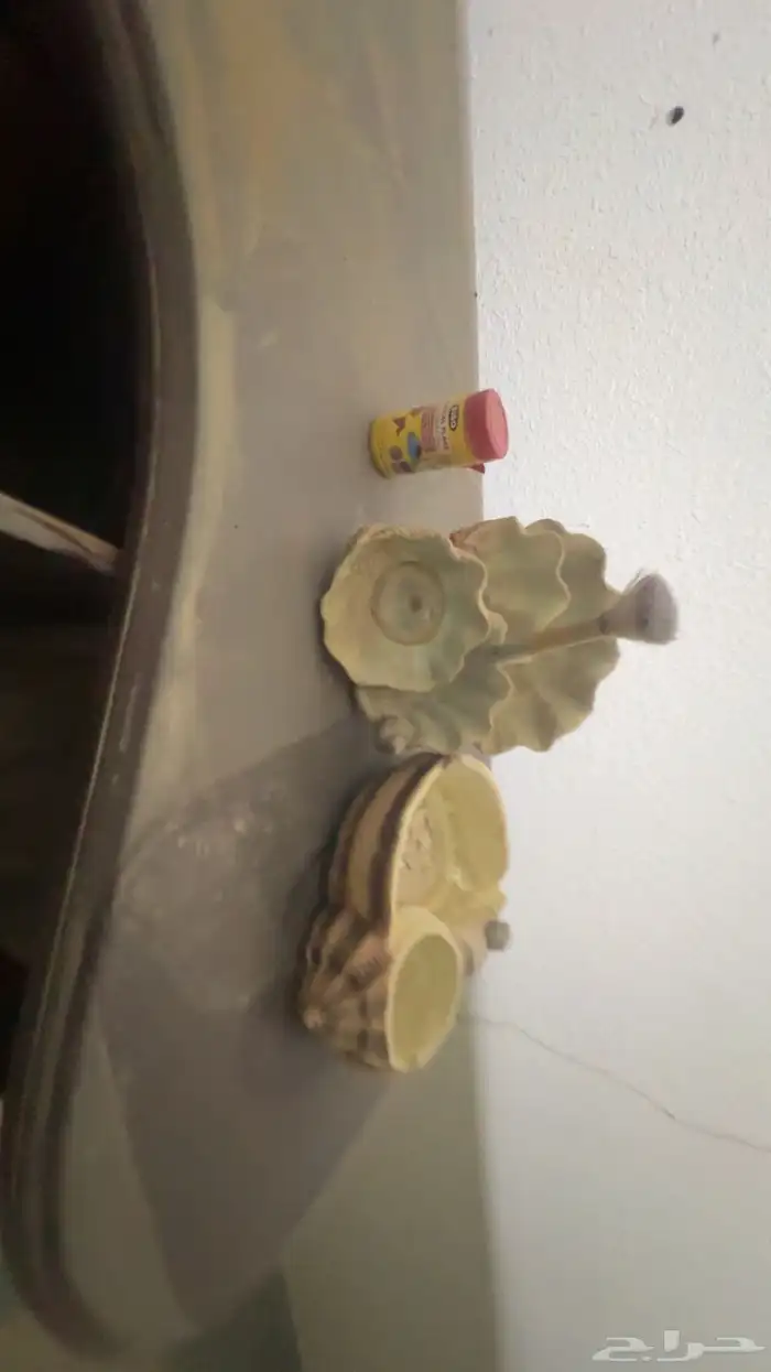 حوض السمك مع الأكل مع كل شيء 4