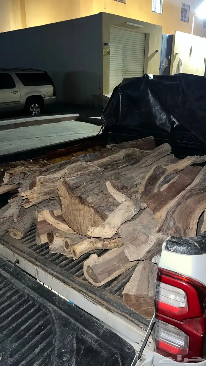 حطب مستورد 0