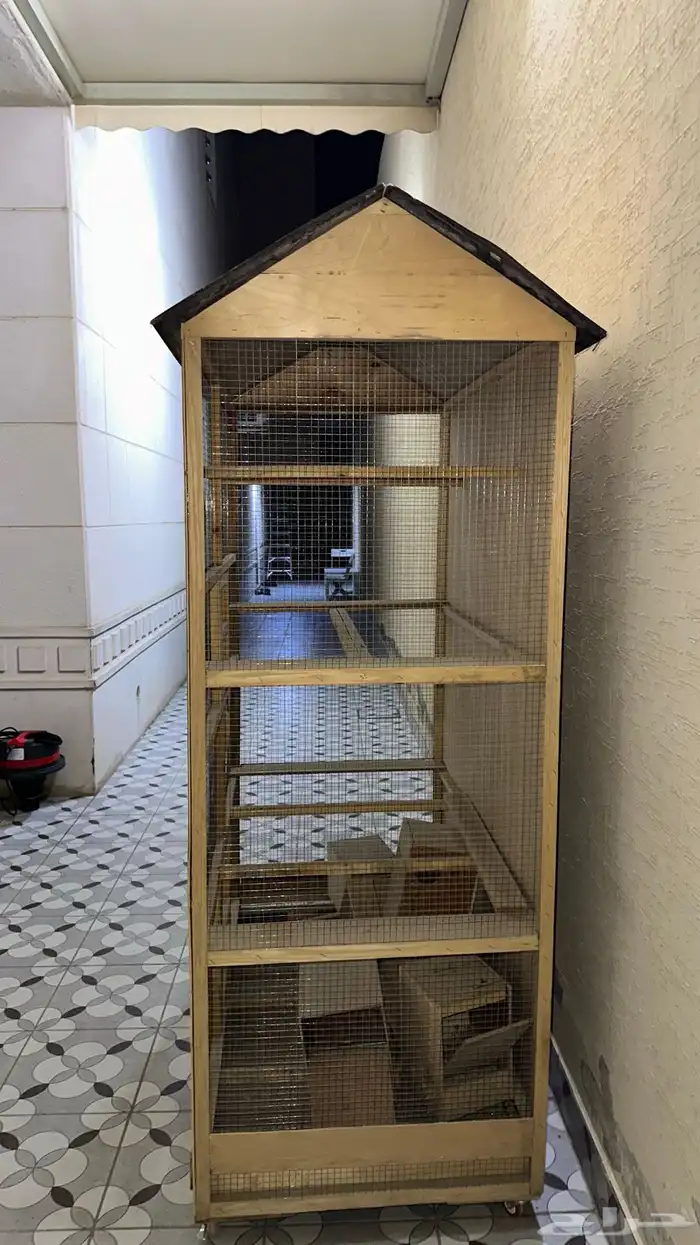 شبك عصافير 2