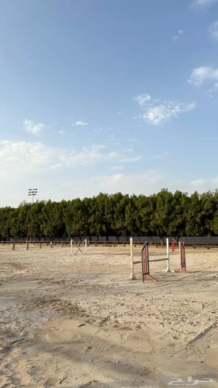 مركز سيمت ستارز للفروسية 7