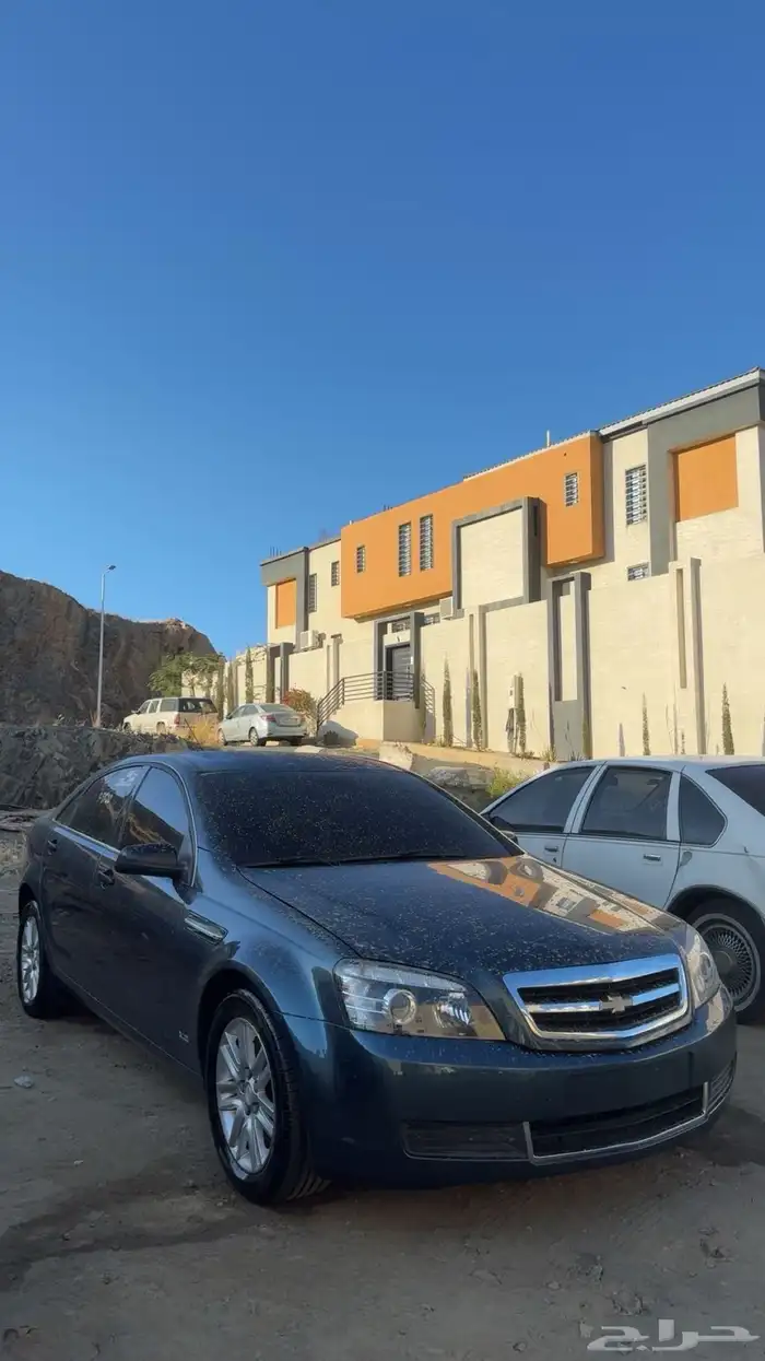 للبيع كابرس 2013 10