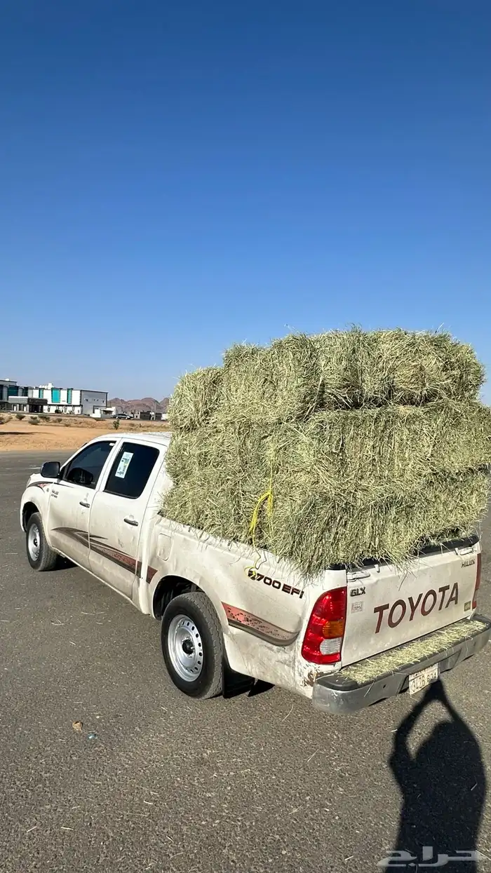 حبونا نجران 8