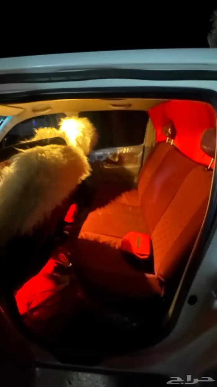 حبونا نجران 6