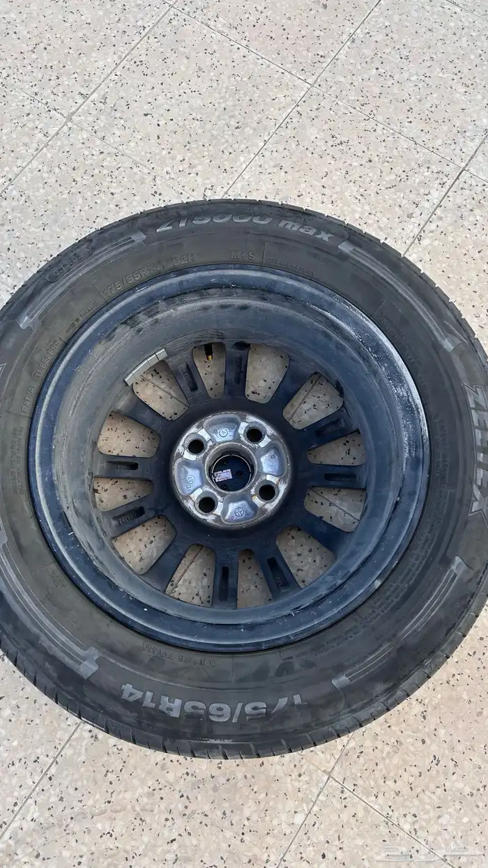 جنوط يارس 2021 حقت الوكالة 5