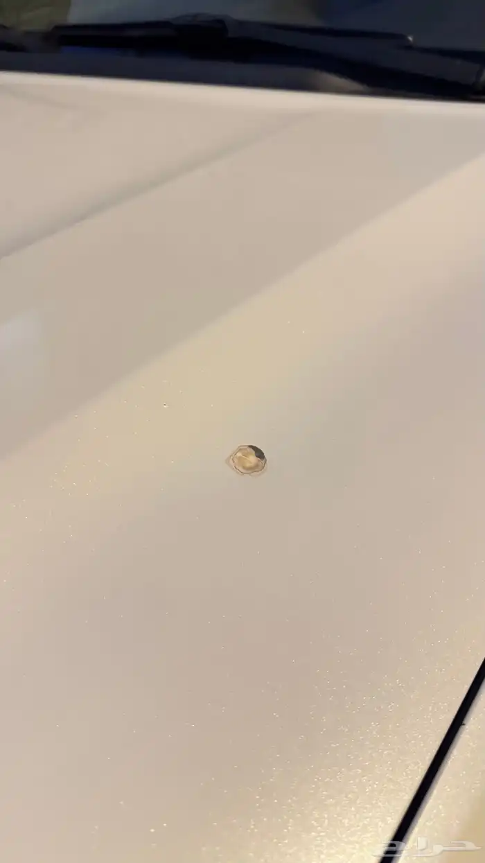 جكسار مالك اول فل كامل 18