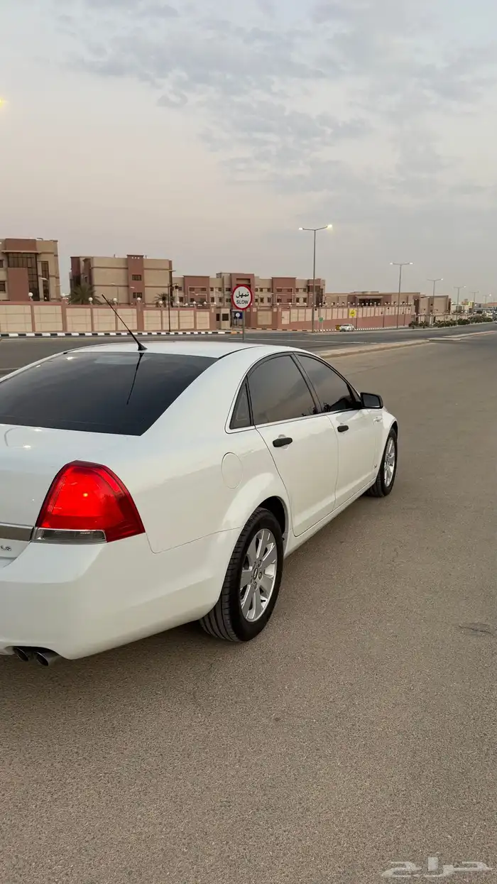 كابرس 2012 LS 17