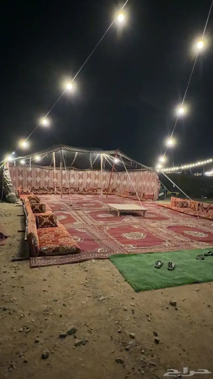 مخيم لليجار اليومي 2