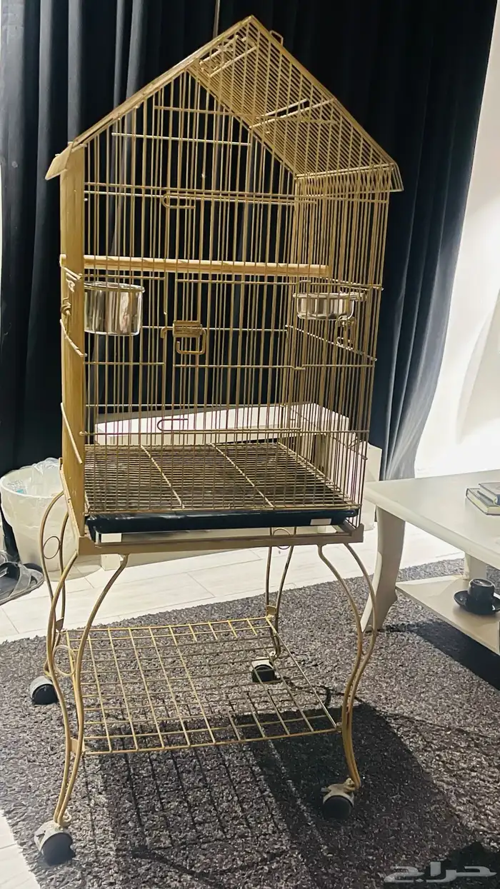 صندوق ببغاء 2