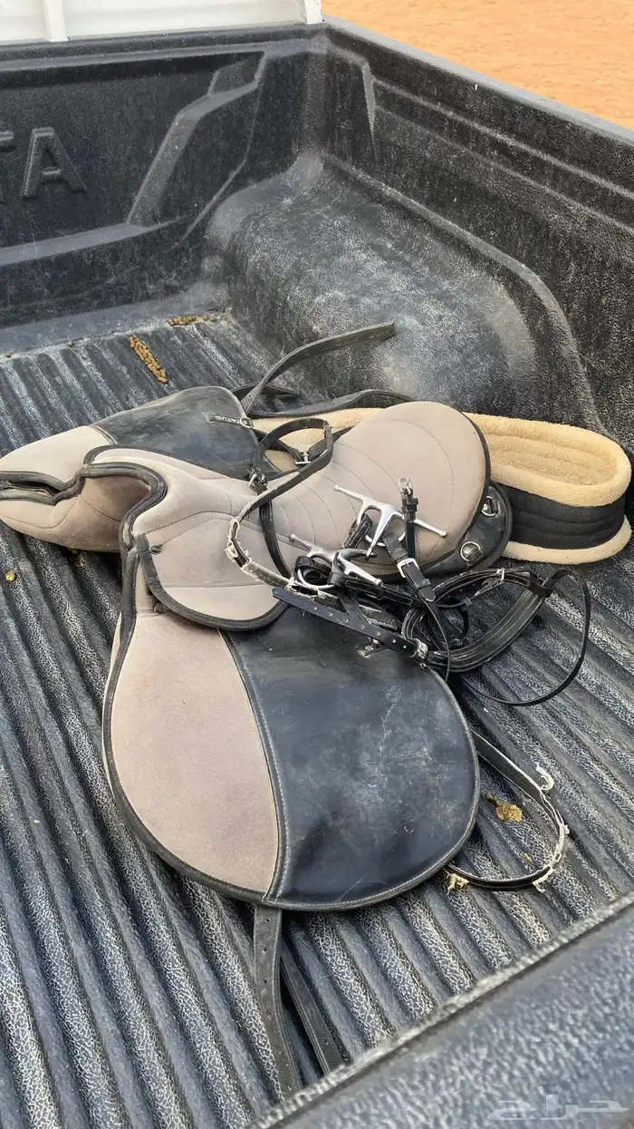 سرج STATUS للبيع أخو الجديد 0