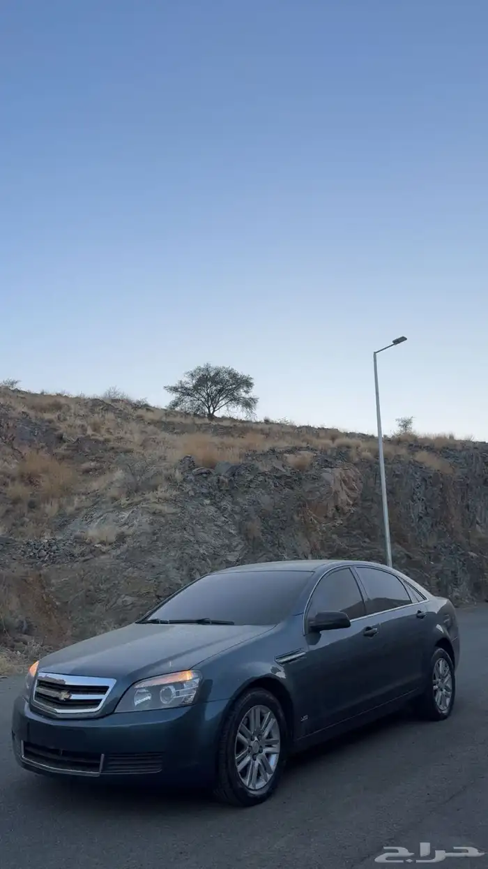 للبيع كابرس 2013 3