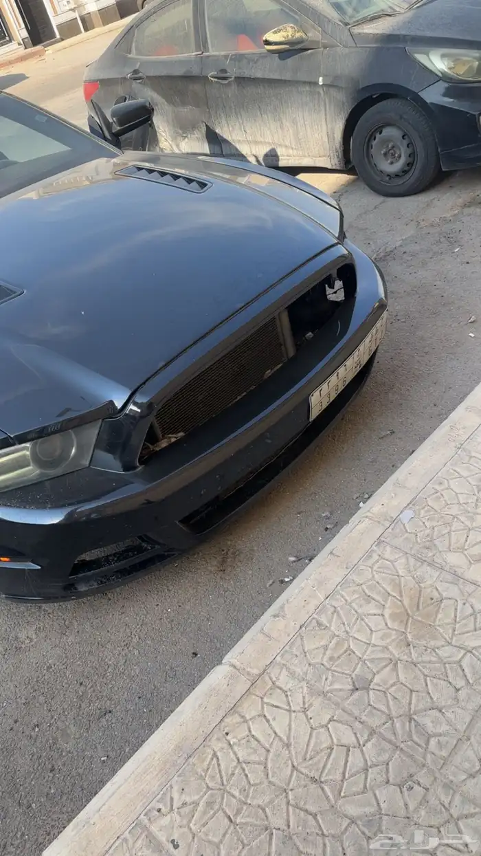 صدام موستنق 2014 اصلي 0