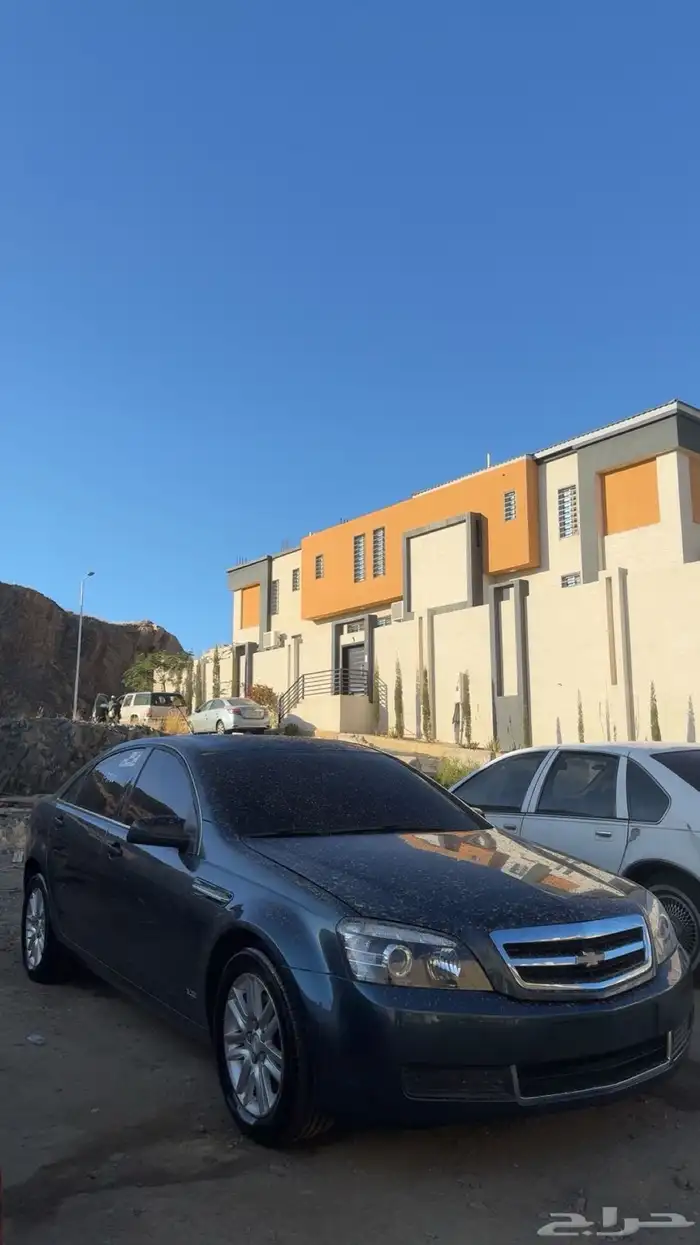 للبيع كابرس 2013 16