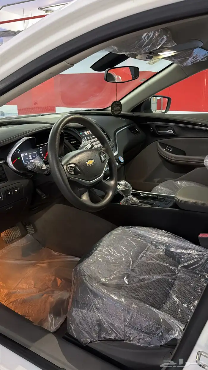 آمبالا الغزال الامريكي   . 13