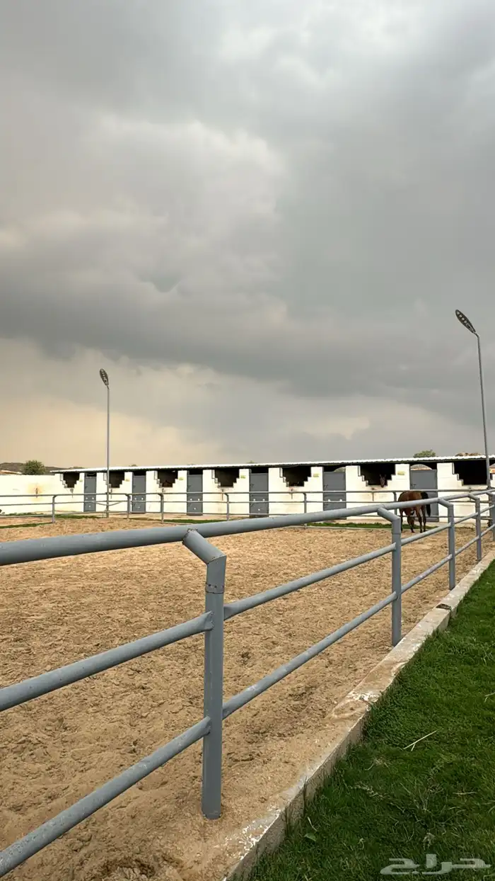 مربط السحابه للايواء 0