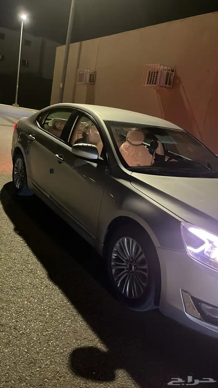 كادينزا  2015 2