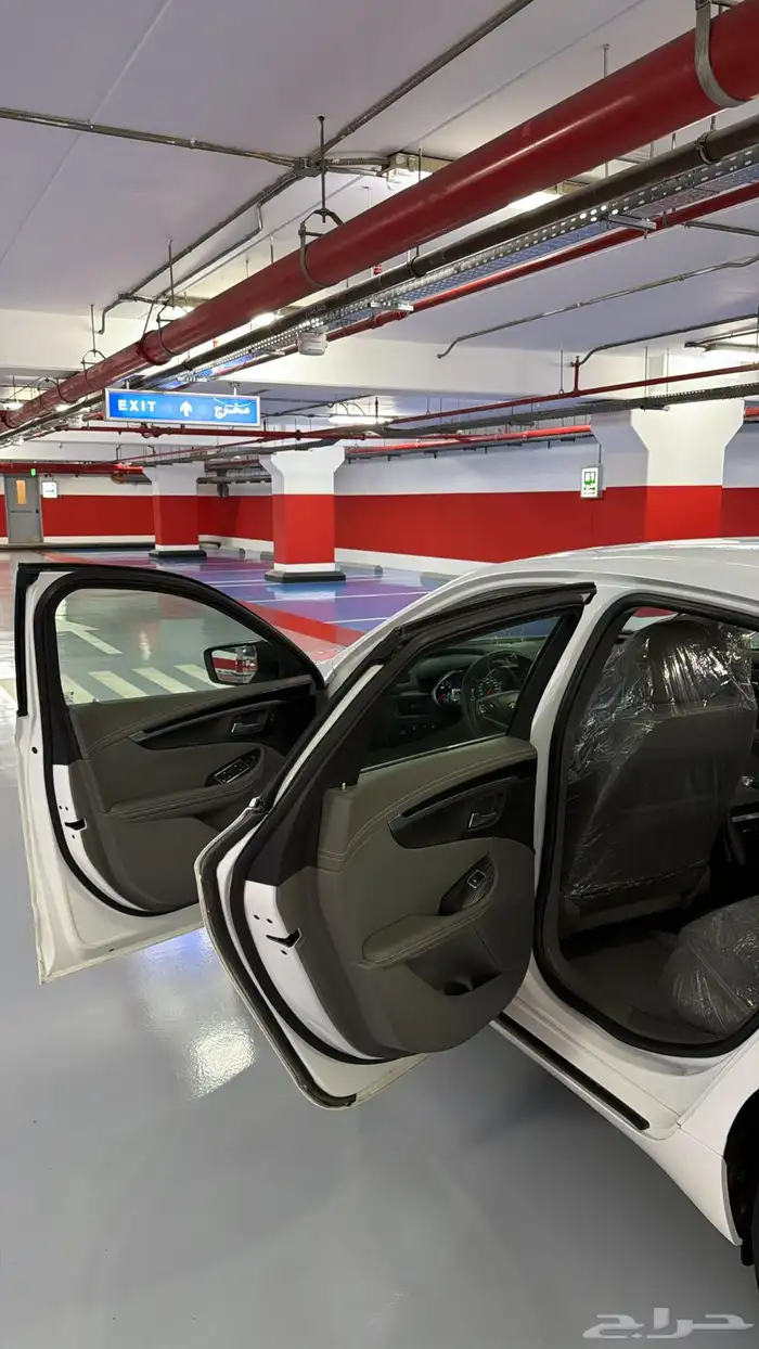 آمبالا الغزال الامريكي   . 16