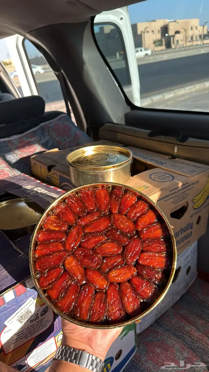 صفري بيشه صافي ماهو مقرش 3