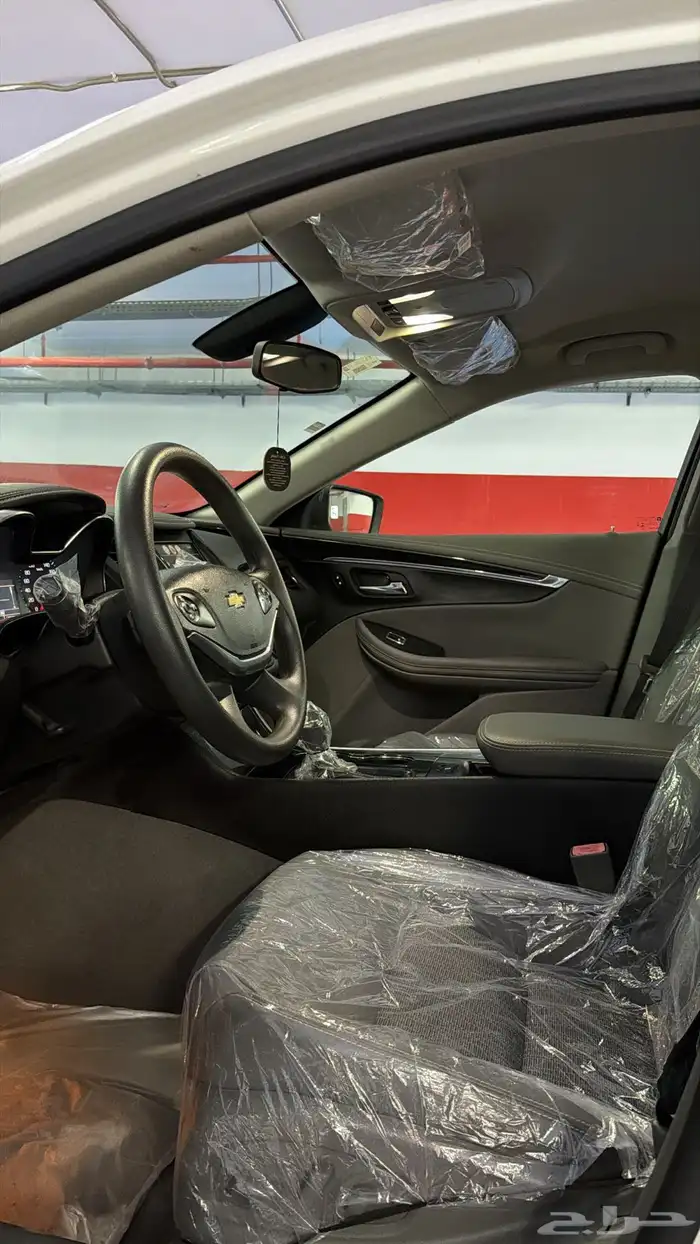 آمبالا الغزال الامريكي   . 14