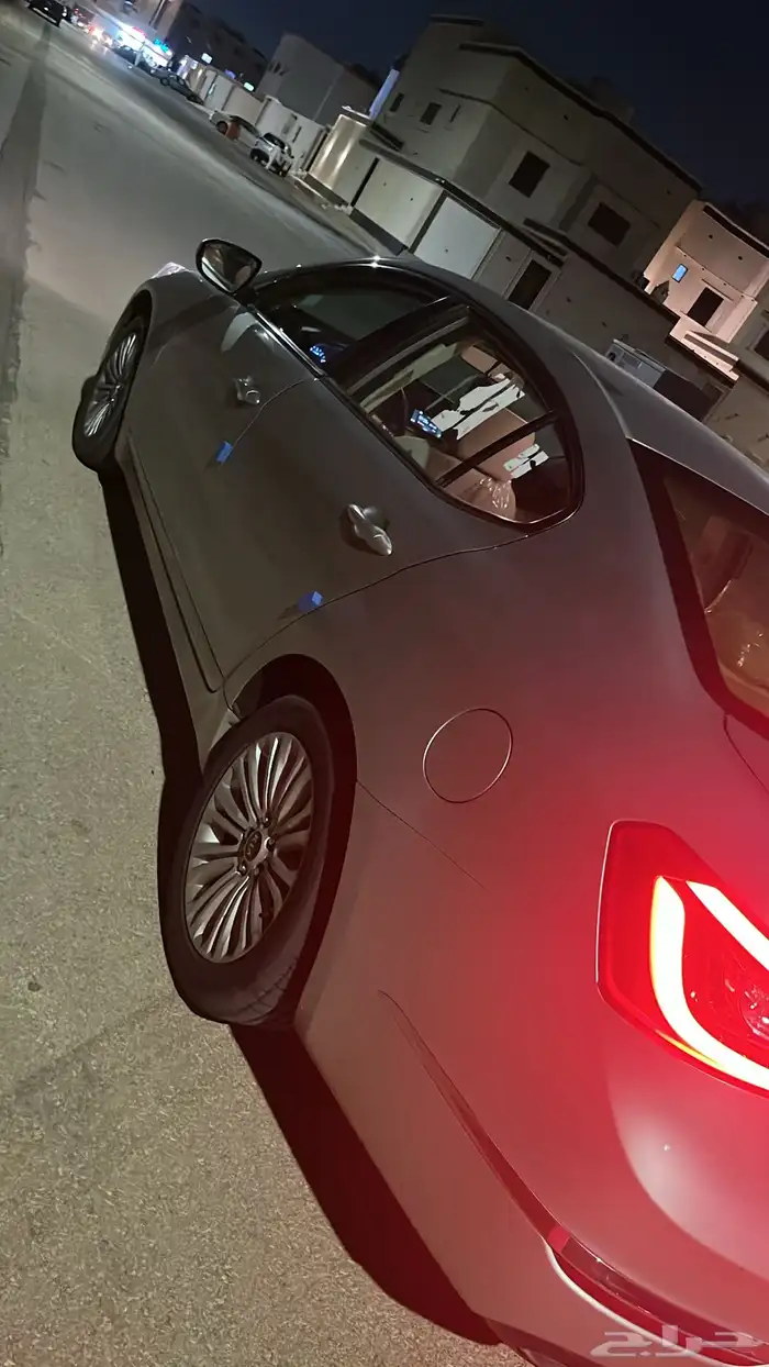 كادينزا  2015 5