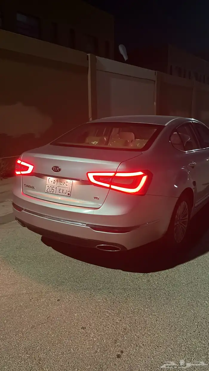 كادينزا  2015 4