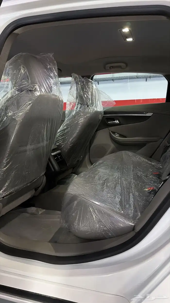 آمبالا الغزال الامريكي   . 15