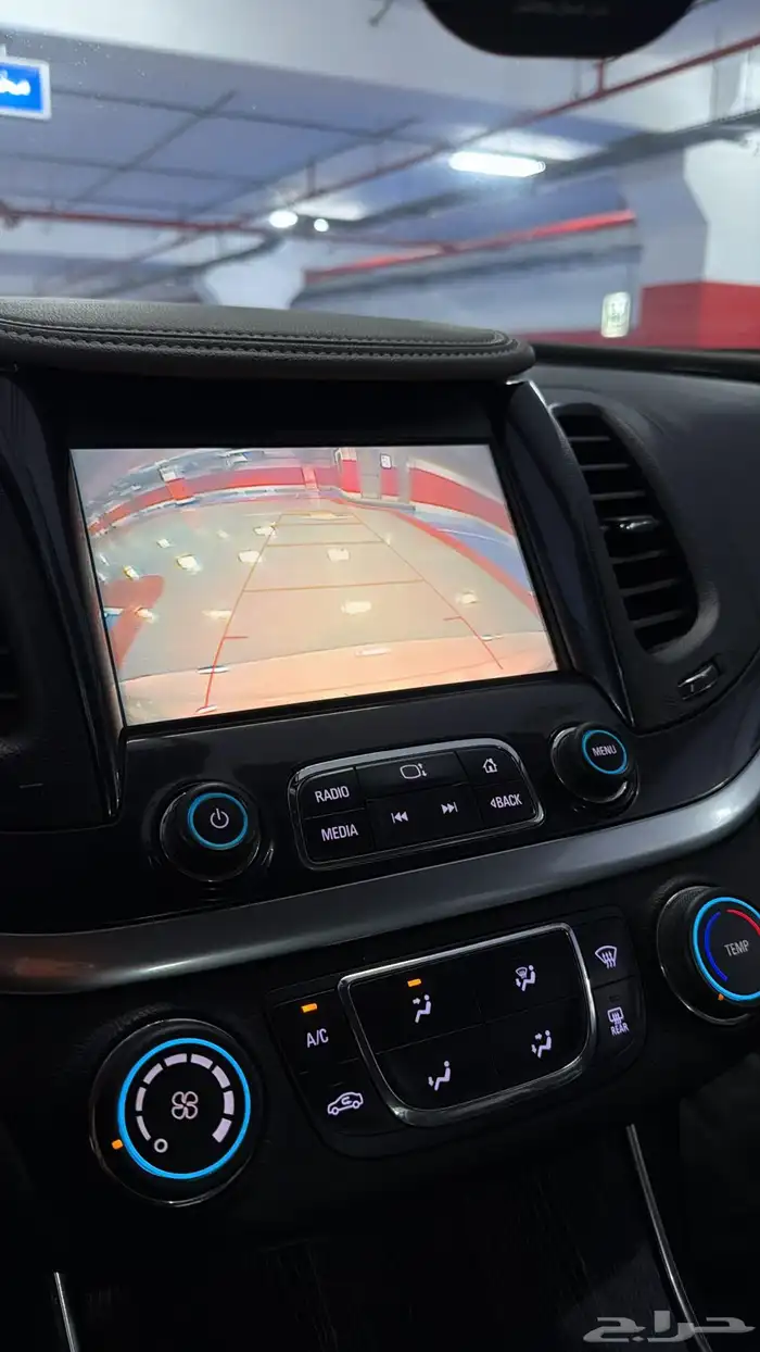 آمبالا الغزال الامريكي   . 23