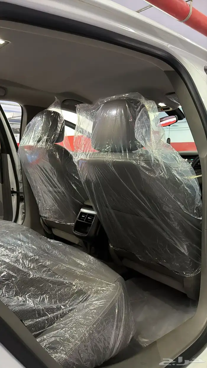 آمبالا الغزال الامريكي   . 21